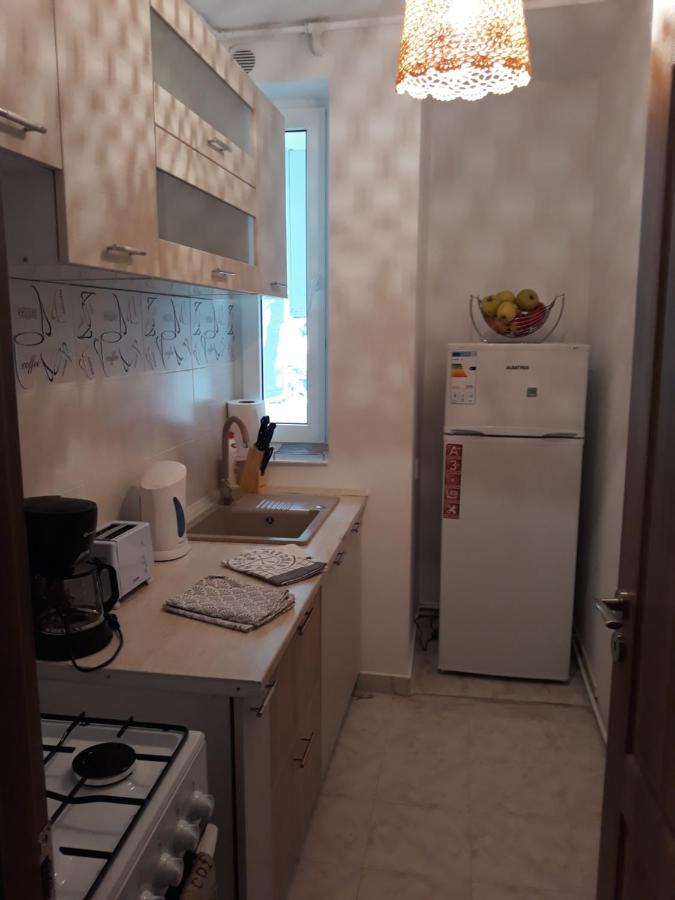 Sibiu Home 1 エクステリア 写真