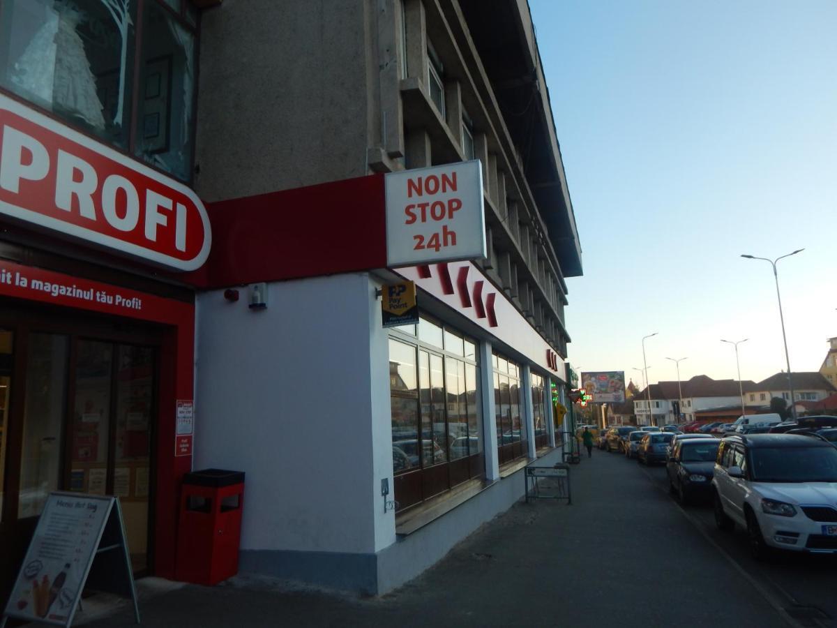 Sibiu Home 1 エクステリア 写真