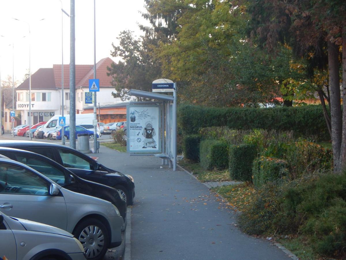 Sibiu Home 1 エクステリア 写真